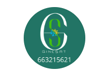 Logo de GineSAT